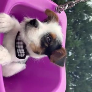 Meet your Posher, Ana g.